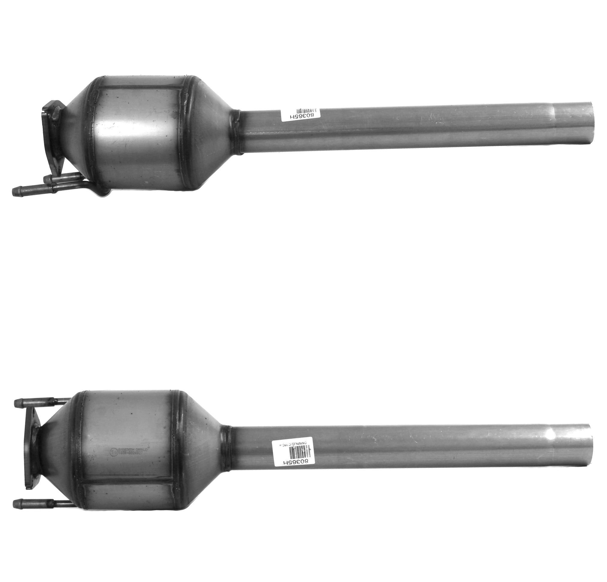 CITROEN / FIAT / PEUGEOT Homologated Diesel Cat