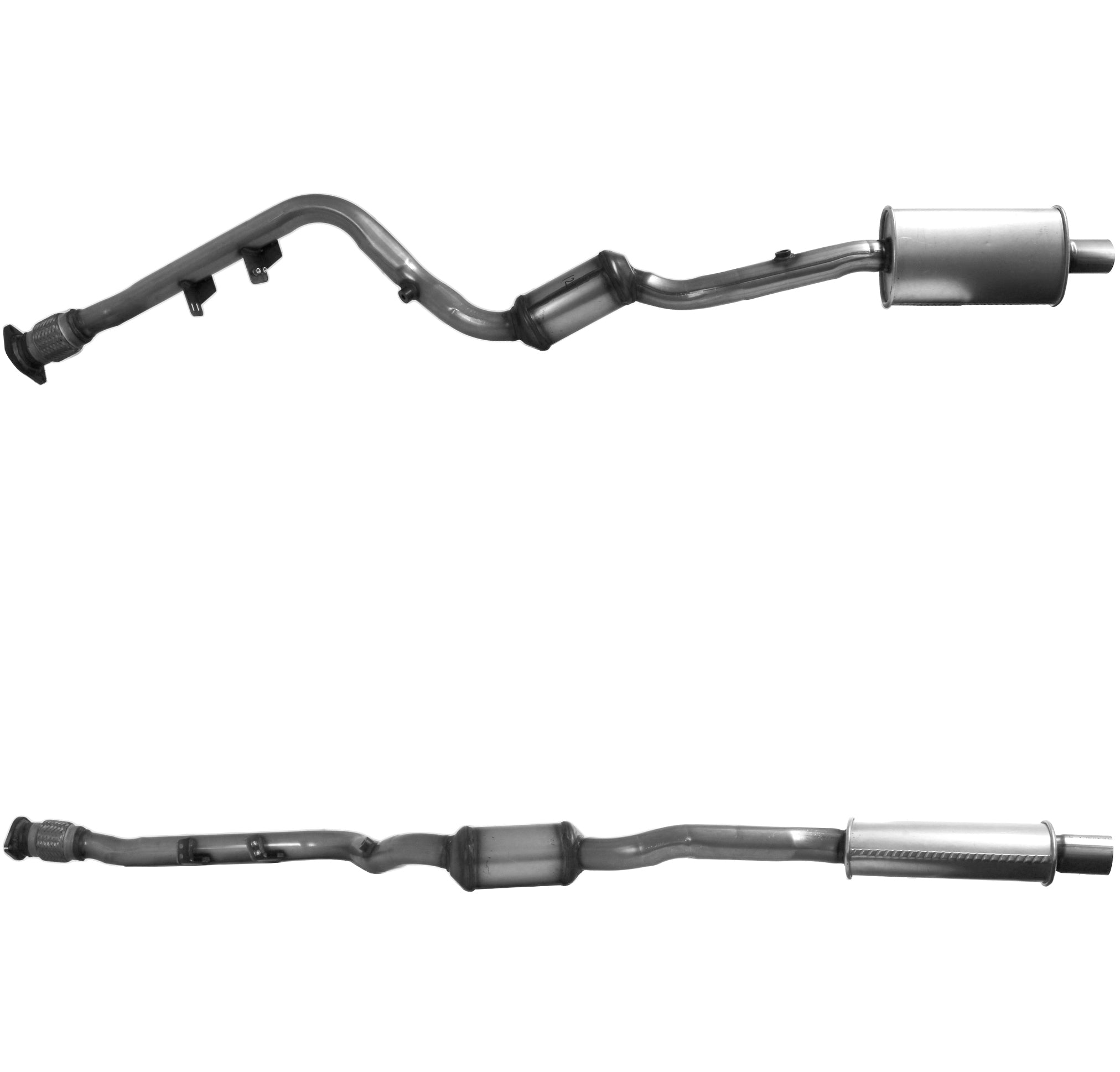 BMW Homologated Petrol Cat