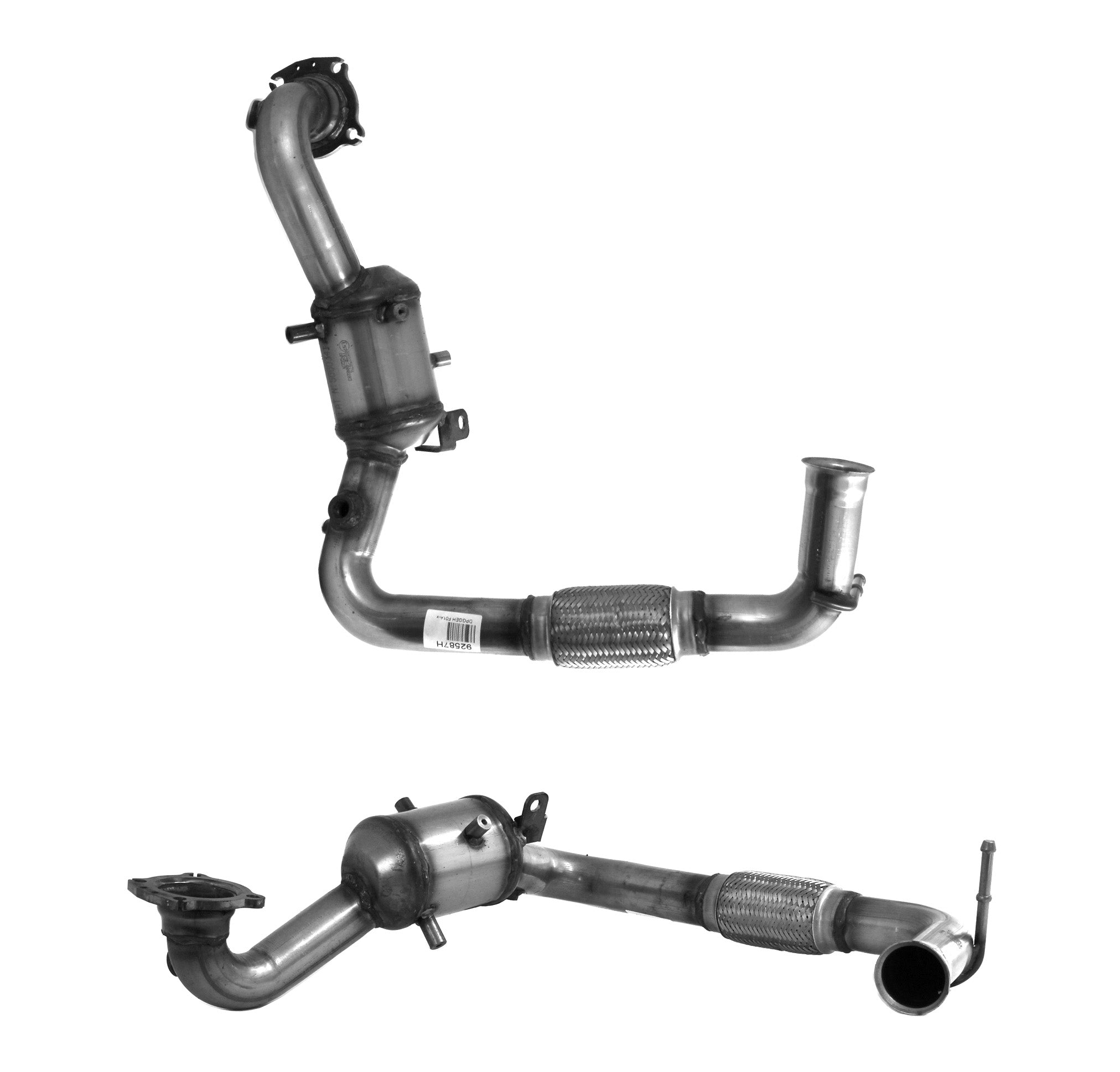 FORD Homologated Petrol Cat
