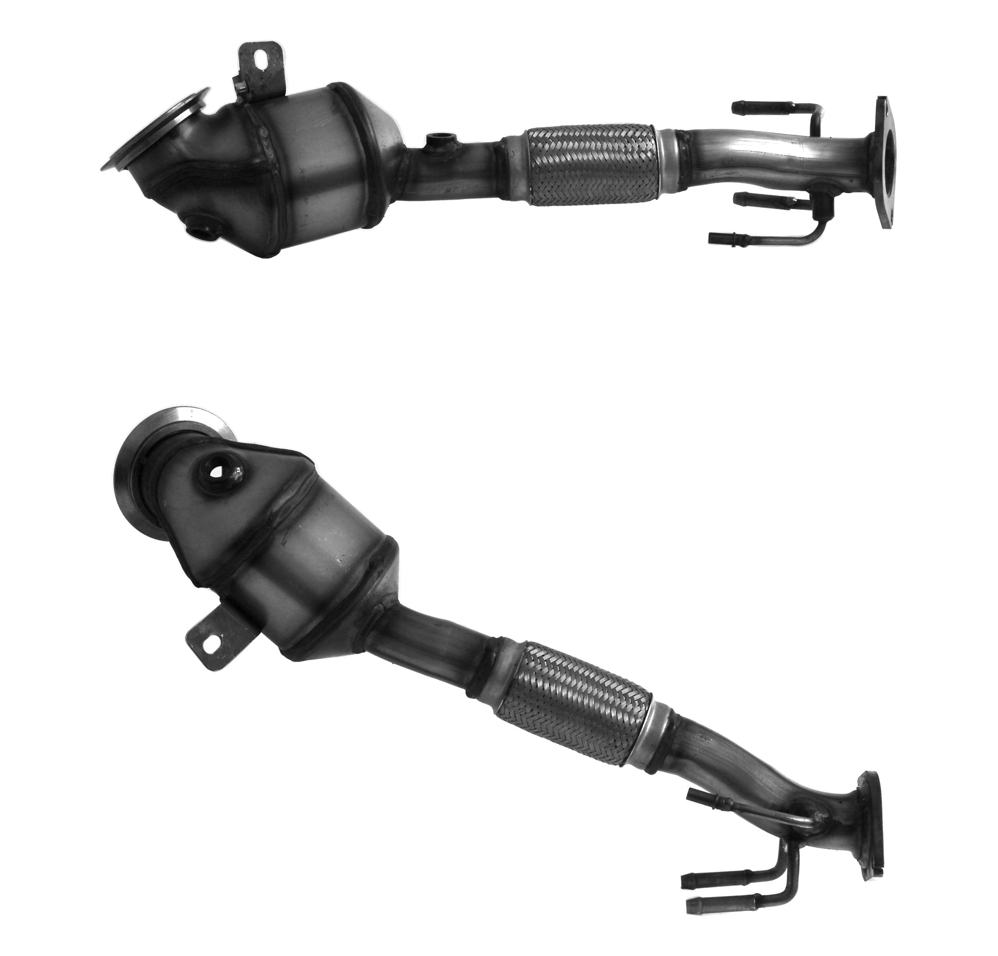 FORD Homologated Petrol Cat