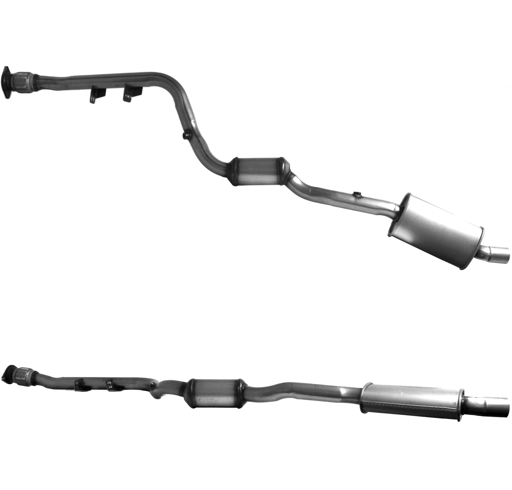 BMW Homologated Petrol Cat